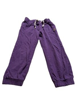 GAP Brannan's Favorites Purple Pants Size 3T
